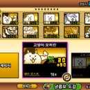 에쓰디 이미지