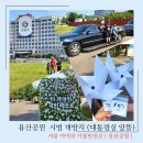 헬기장교차로(봉덕초 방향) | 용산공원 시범 개방지 위치 예약방법 관람후기 주차팁 대통령실 앞뜰 서울 아이와 가볼만한곳