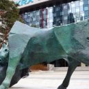 와이지메디칼 이미지