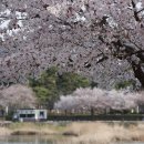 풍경공원 이미지