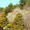 충혼탑 주차장 주변 이미지