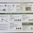 그린안경 | 호야 개인 맞춤형 단초점 렌즈 vs 비쥬프로 다크그린, 2개월 착용하면서 느낌 차이점