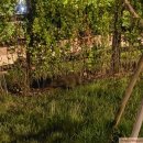 굿모닝농장2 이미지