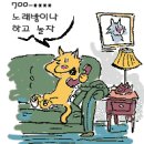고양이 별자리 성격(잼납니다~^^) 이미지