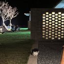 정글돔풀빌라 앤 글램핑 | 거제여행 숙소 정글돔풀빌라 앤 글램핑 102호 후기