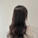 강남-175 이미지