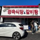 염박사