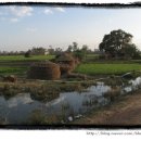 보드가야(BODHGAYA) 이미지