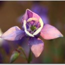 광주도자기엑스포장 이미지