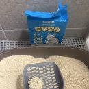 노리터 | 고양이 두부모래 변기에 버려도 되나? 멍냥이노리터 두부모래 후기