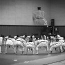 용인대 태성태권도장 이미지