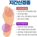 폼롤러를 이용한 발바닥 자극으로 통증 완화 인천 부평구 삼산동헬스장 테크노짐 헬스클럽 이미지