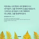 주일예배 202011.말씀~사진 이미지