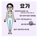 각 운동별 체형 특징 이미지