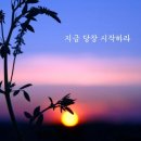 시작 이미지