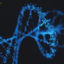 원셀메디의원 이미지