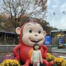 코코몽에코파크 용인점 | [육아] 코코몽에코파크 용인점 아이와 함께 솔직 후기