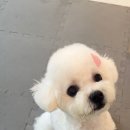몽스살롱