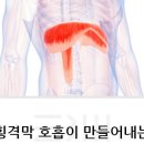 크로스핏(헬스) 이미지