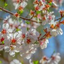 홍천냉동 이미지