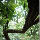 응봉공원4 이미지