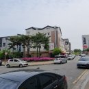 호매실벚꽃음식문화거리 이미지