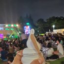 (유)유성환경 | 대전축제 유성축제 유성 재즈 맥주 페스타 유재페 후기