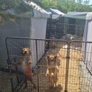 영천동물병원 이미지