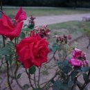 강서구관광안내소 이미지