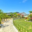 자유농장(설성농장) | [싹보내 초음파 두더지 퇴치기]뱀 야생동물 들끓는 전원주택 필수템