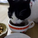 원탑덴탈 이미지