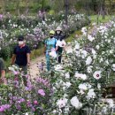 무궁화사진관 이미지