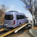 홍카센타 이미지