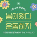 행복한 히어로 태권도 이미지