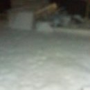 정자나무집모텔 이미지