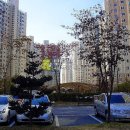 하남대로802번길 이미지