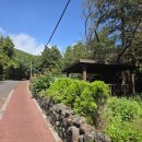 제주올레 | 어게인 제주올레길 걷기 17일차 후기 (완주)