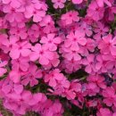 사철농장 이미지