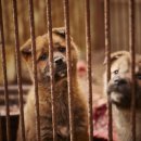 새서울농장 이미지