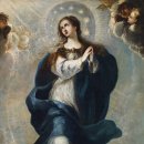+. 2022년 12월 8일, 원죄 없이 잉태되신 복되신 동정 마리아 대축일 이미지