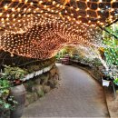 허브아일랜드 식물원 이미지