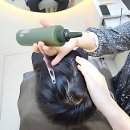 경기인력개발원 앞-1 이미지