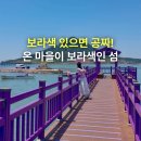 신안군관광협의회안좌퍼플교지점 | 광주광역시 가볼만한곳 신안 퍼플섬 라벤더축제 퍼플교 퍼플마을