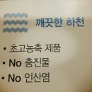 센스라인