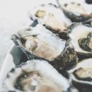 고흥의 하루 이미지