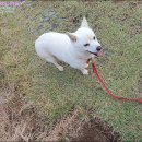 호리;휴 이미지