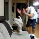 쮸쮸멍 | [daily] 종강야호~