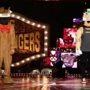 뱃살야옹 이미지