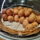 토마토모텔 | 독일 | 에센 호텔 &#39;모텔 원&#39; 조식