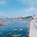 신기낙시터 이미지